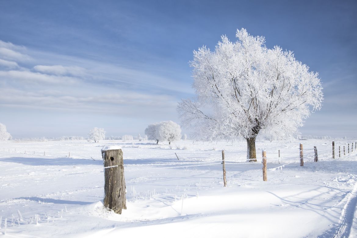 O urządzeniach, które... pomagają przetrwać zimę!