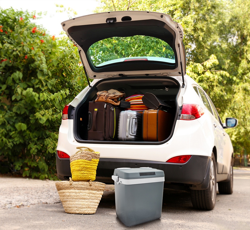 Lodówka turystyczna TL100N FROSTY ELDOM