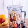 BK500C PERFECT VITAL PROFESSIONAL BLENDER