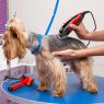 MZ200 BONI PET GROOMING SET