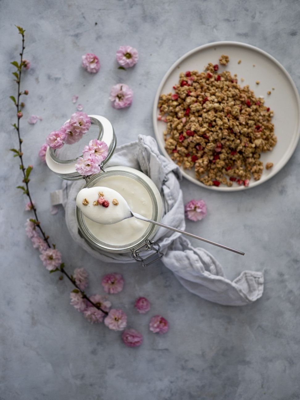 Jogurt domowy
