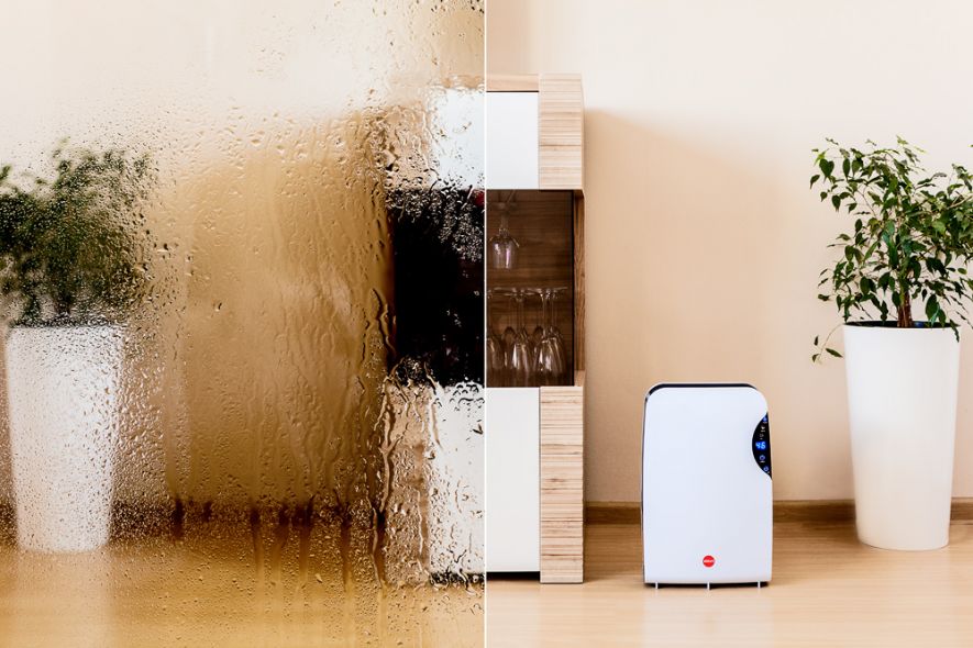 ELDOM _MG_9575-OP600.jpg